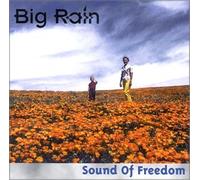 Big Rain - Sound of Freedom