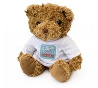 Big Red Egg SORRY I'M SUCH A DICKHEAD (BLUE) - Teddy Bear - Cute - Apology Gift Present