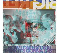 BIG RED MACHINE - HOW LONG DO YOU THINK IT'S GONNA LAST 2LP/OPAQUE V - C3447z