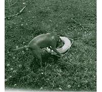 Big Satan - Souls Saved Hear