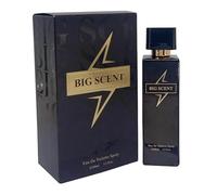 Big Scent Mens Eau de Toilette/After Shave 100ml
