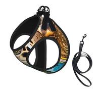 Big Sea Turtle print Dog Harness and Leash Set, Reflective Adjustable Puppy Vest for Small Medium Large Dogs, Cats