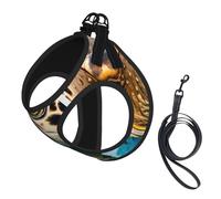 Big Sea Turtle Print Small Dog Harness with Leash Set, No Escape Easy Walk Puppy Harnesses for Training Walking
