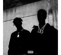 Big Sean & Metro Boomin - Double Or Nothing [VINYL]