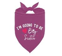 Big Sister Dog Bandana, Big Sister Bandana for Dog, Grape Color Dog Bandana, Dog Bandana Pregnancy Announcement, Big Sister Dog Shirt, Baby Announcement Dog Bandana, Gift for Dog Lover (F18)