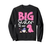 Big Sister Est 2027 Promoted to Big Sister Dinosaur 2nd Baby Sweatshirt