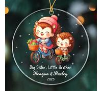 Big Sister & Little Brother Hedgehog Keepsake Glass Crimbo Baubles With Ribbon Remembrance Ornament