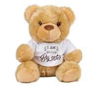 Big Sister Teddy Bear Gift - “I Am Going To Be A Big Sister” Soft Toy | Cute Pregnancy Announcement Gift for Kids Girl | Baby Reveal Plush Toy. (Brown Teddy)