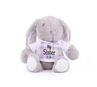Big Sister To Be Teddy Bunny - Plush Teddy New Baby Gift with T-Shirt