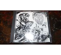 BIG SKANK THEORY SKA COMP.