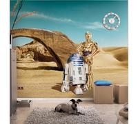 BIG Star Wars wallpaper bedroom WALL MURAL Vader starships Millenium Falcon
