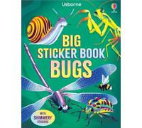 Big Sticker Book Bugs – Usborne