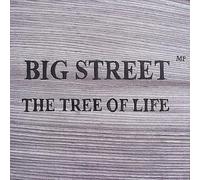Big Street M.P. - Tree of Life
