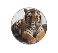 Big Tiger Fridge Magnets Exquisite Cute Round Alloy Metal Magnetic Stickers Personalized Colorful Decorative Magnets Suitable for Kitchen Office Locker Decor