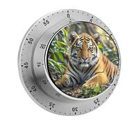 Big Tiger Kitchen Timers for Cooking Visual Timer Stainless Steel Magnetic Timer with Alarm Cooking Timers for Baking, Exercise, Sports, Study & Outdoor Use