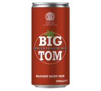 Big Tom Spiced Tomato Juice for Bloody Mary Mix - 250ml Cans (24 Pack) | Vegan-Friendly Drink