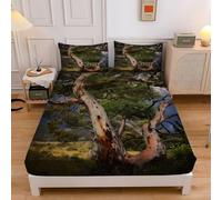 Big Trees Double Fitted Sheet Eucalyptus 3D Printed Bedding Double Bed Set Soft Microfibre Fitted Sheet Deep Pocket 12-inch, Bed Cover 135x190x30cm with 2 Pillowcase sd1979