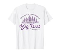 Big Trees Park - Hanson Band Fan Concert Tour Wear T-Shirt