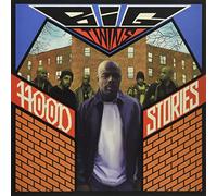 BIG TWINS - HOOD STORIES [VINYL]