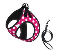 Big White Dot Print Dog Harness Small Sized And Leash Set, Step In Soft Light Puppy Vest Breathable Mesh Pet Harness