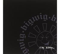 Big Wig - Stay Asleep