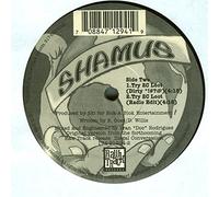 Big Willie Style / Try 2C Loot [Vinyl Single 12'']