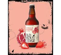 BigBazza Vintage Advertising Wall Tin Plaque 20x15cm - Pub Shed Bar Man Cave Home Bedroom Office Kitchen Gift Metal Sign - Old Mout Cider Drink Alcohol Red Inspired