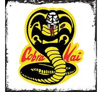 Vintage Advertising Wall Tin Plaque Large Square 20x20cm Pub Shed Bar Man Cave Home Bedroom Office Kitchen Gift Metal Sign - Karate Kid Movie Cobra Kai Tv Show Fight inspired