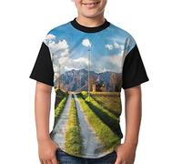 BigBuild Technology 64GB Ultra Fast 80MB/s Class 10 MicroSD Memory Card for Samsung Galaxy Grand Prime SM-G530 Mobile, SD Adapter is included