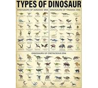 Bigccaee Dragon Knowledge Metal Tin Sign Types Of Dinosaur Funny Poster Science Museum Club Living Room Kitchen Bathroom Room Home Art Wall Decorated Plaque Gift Retro Metal Tin Sign 8X12 Inches