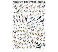 Bigccaee Sibley Backyard Birds Western North America Chart Poster Metal Tin Sign Wall Decor Retro Metal Tin Sign 8X12 Inches