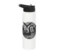 Bigfoot Alien Loch Ness Monster Mythical Creatures UFOs Stainless Steel Insulated Water Bottle