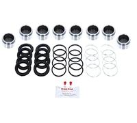 Bigg Red - Brake Caliper Piston Seal Repair Kit - Complete Front Left & Right - Fits SUMITOMO 4 x 43mm dia Piston Calipers - Compatible with,