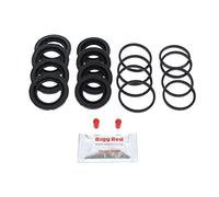 Bigg Red - Front Brake Caliper Repair Kit - Compatible with S60 & V70, Coupe Turbo, Alfa Gt 147 156 & 166, 166 3.2, 166 3.0, 156 3.2, 406 607 3.0 V6, 406 3.0 V6