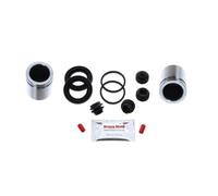 Bigg Red - REAR Brake Caliper Seal Rebuild Repair Kit + Pistons - Fits KIA OPTIMA