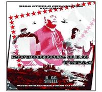 Bigg Steele - The Chronicles Of Bigg Steele Vol. 1