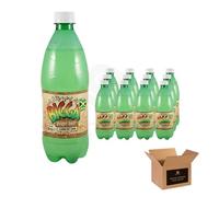 Bigga Flavoured Soft Drink Variety in Apple, Orange, Grape, Pineapple, Cream Soda & More | Sparkling Fizzy Summer Refreshing, Fruity Carbonated Party Bottles (Bigga Ginger Beer - 600ml x 12Pack)