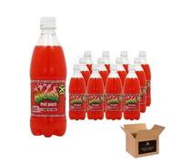 Bigga Flavoured Soft Drink Variety in Apple, Orange, Grape, Pineapple, Cream Soda & More | Sparkling Fizzy Summer Refreshing, Fruity Carbonated Party Bottles (Bigga Fruit Punch - 600ml x 12Pack)