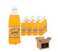 Bigga Flavoured Soft Drink Variety in Apple, Orange, Grape, Pineapple, Cream Soda & More | Sparkling Fizzy Summer Refreshing, Fruity Carbonated Party Bottles (Jamaica Kola 600ml - Pack 12)