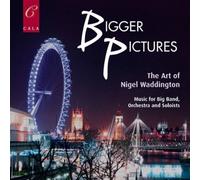 Bigger Pictures by Waddington, Nigel (2011-01-11)