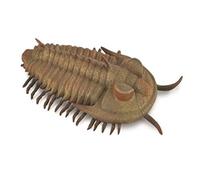 Bigjigs Toys CollectA, Redlichia Rex Trilobite, Collectable Animal Figurine