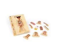 Bigjigs Toys Female Anatomy Puzzle - 26pcs Human Body Jigsaw Set, Wooden Jigsaws, Learn & Play Science Toy For Children, Educational Puzzles, Pre School Resources, Age 3 Years +