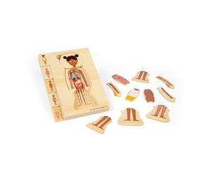 Bigjigs Toys Female Anatomy Puzzle - 26pcs Human Body Jigsaw Set | Wooden Jigsaws, Learn & Play Science Toy For Children, Educational Puzzles, Pre School Resources, Age 3 Years +