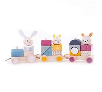 Bigjigs Toys, FSC® Certified Wooden Toy Train, Pull Along Toy for 1 Year Old, Wooden Train, Kids' Pull-Along Wagons, Animal Passengers, Suitable for Hard and Soft Surfaces