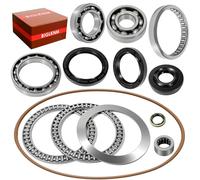 BIGLKNM ATV Bearing Kit & O-Ring - 13pcs - Steel & Rubber - Roller Bearing - Grease Compatible - Kawasaki Brute Force 650/750 Prairie 360/650/700, Suzuki Twin Peaks 700