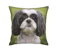 BigOtters Cute Shih Tzu Dog Animal Cushion Covers 40cm x 40cm Decorative Square Throw Pillow Case Pillowcases for Sofa Bedroom with Invisible Zipper