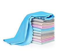 Bigqin 10 Pieces Cleaning Cloth, Fish Scale Microfiber Cloth Surface No Residue Fabric for Kitchen Glass Products Car Window Cleaning, Eco Reusable Towel, Green/Gray/Beige/Sky Blue/Purple