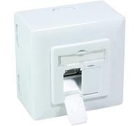 BIGtec Flush-Mounted Network Socket CAT6 Universal LAN Socket Combination Socket Surface-Mounted or Flush-Mounted Gigabit Network Data Socket RAL9003 White for Installation Cable Cat.5 Cat.5e Cat.6 6a Cat.6
