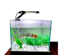 BigTron Full Spectrum Aquarium Light, USB Clamp Aquarium Light, Aquarium Water Plant Light Desktop Fish Tank Mini Decoration with 14 Colors Changing Modes,15 LED Beads, 6W