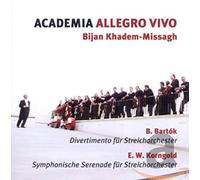 Bijan Khadem-Missagh - Academia Allegro Vivo